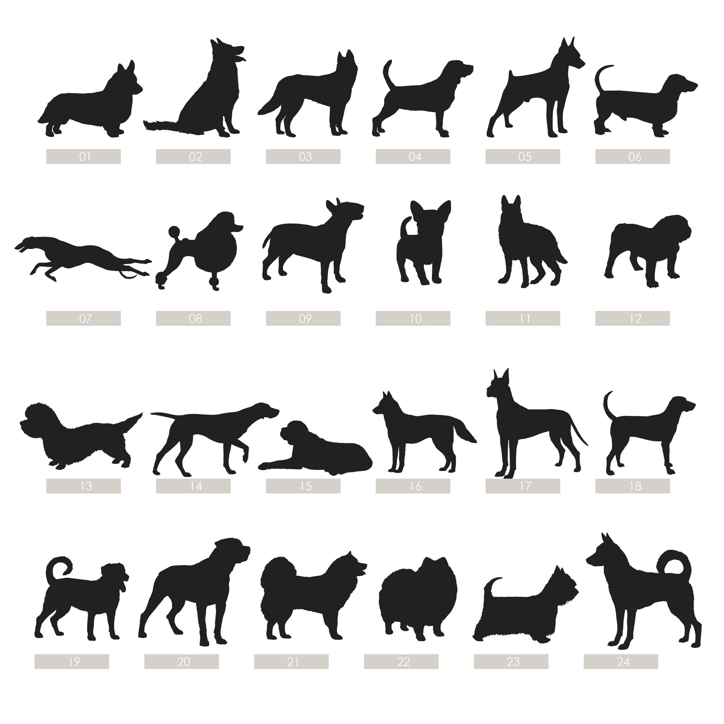 dog breed options