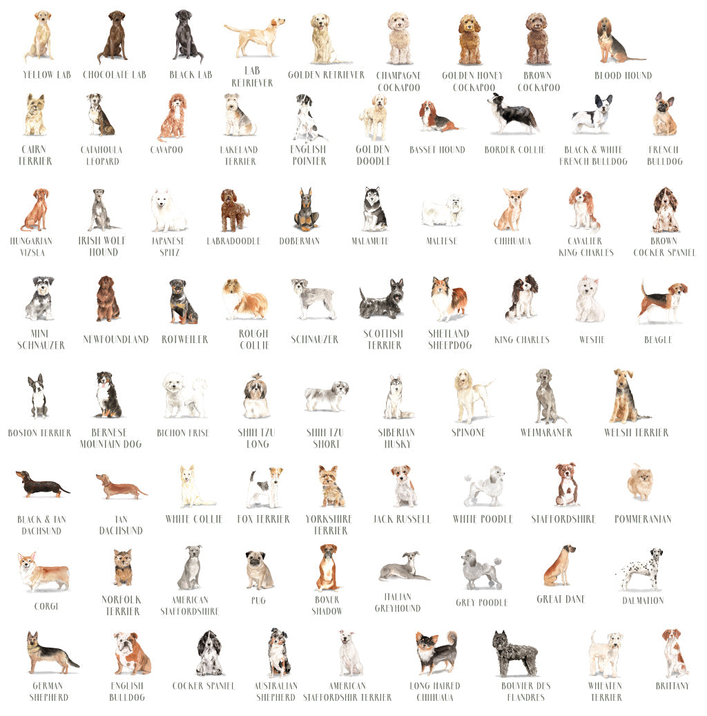 puppy (80+ breeds) | personal stationery | flat printing