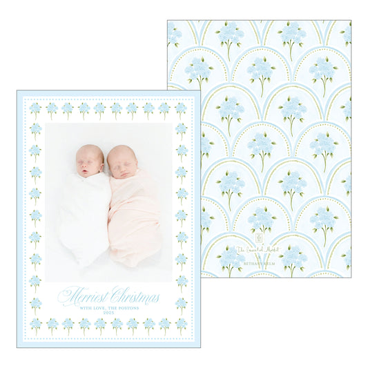 holiday hydrangeas | holiday card | bethany kelm