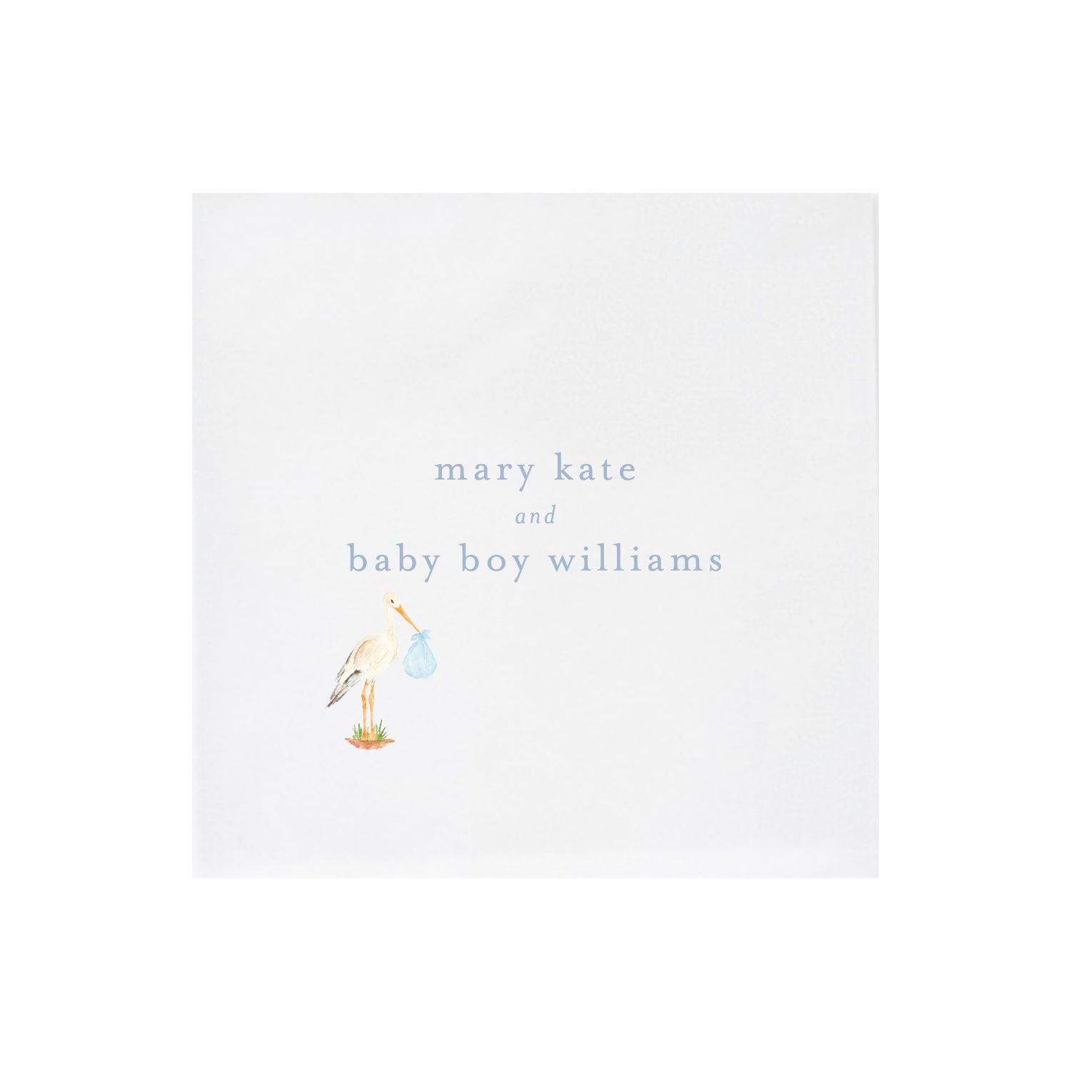 baby boy stork | napkins | 3ply or linen