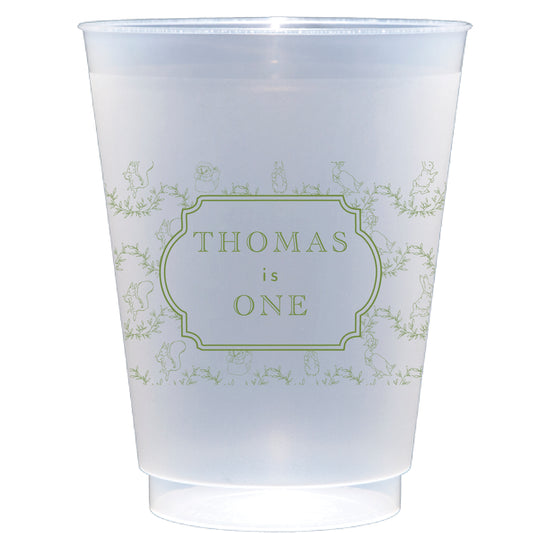 peter rabbit birthday | shatterproof frosted flex | digital