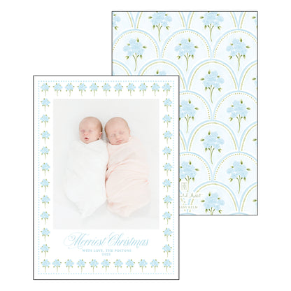 holiday hydrangeas | holiday card | bethany kelm