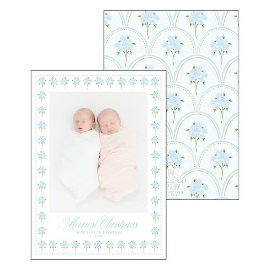holiday hydrangeas | holiday card | bethany kelm