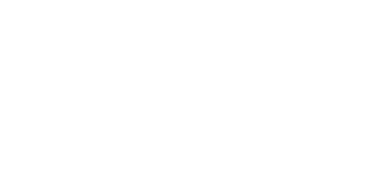 The Essential Market